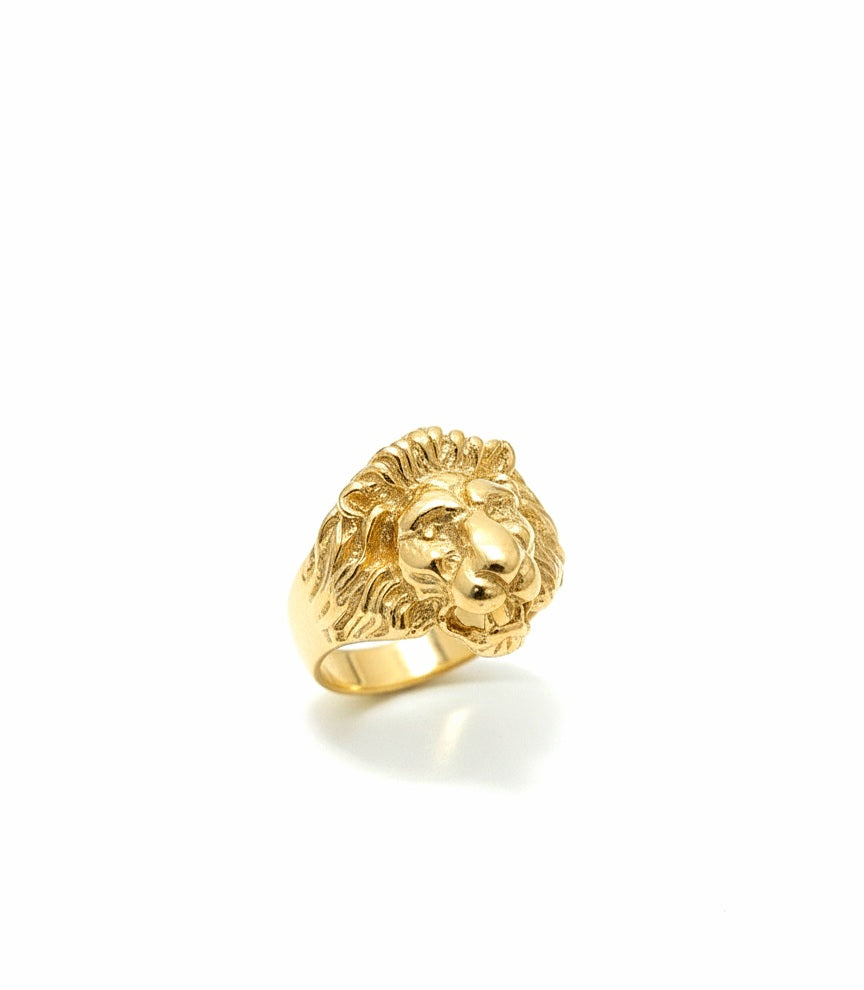 Anillo Leon
