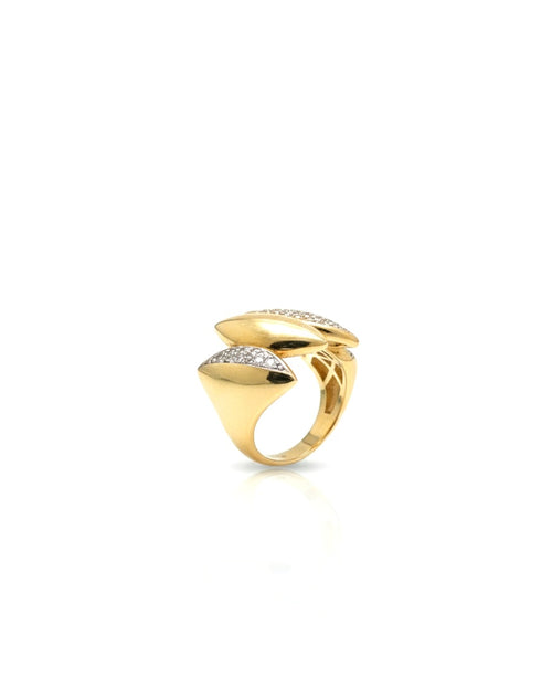 Anillo picos