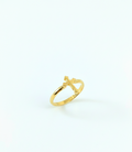 Anillo cruz