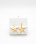 Estrellas de mar