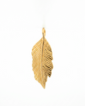 Hoja