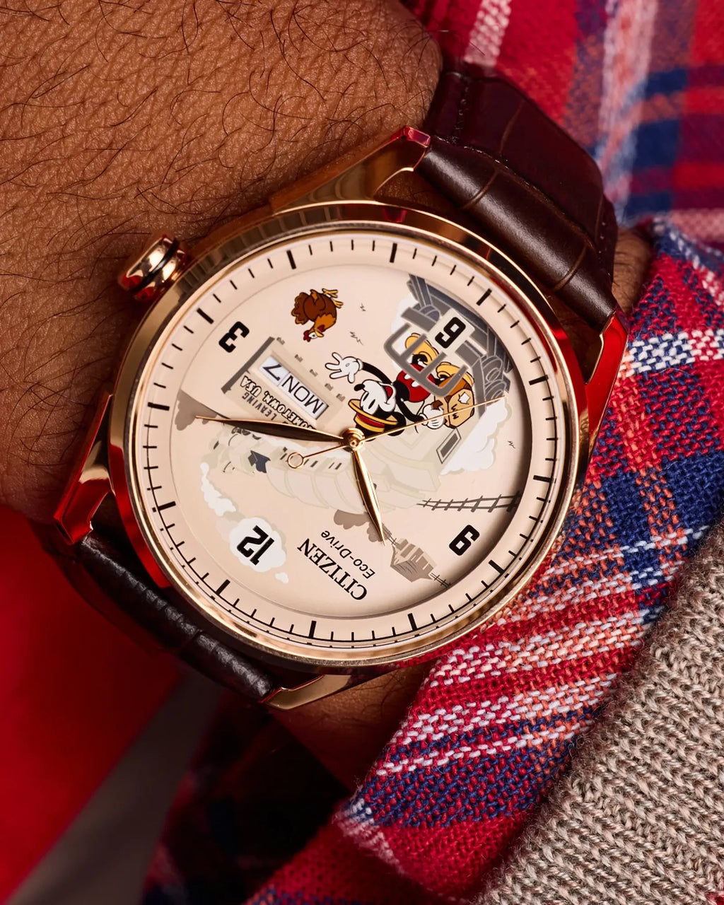 Hometown Mickey Mouse Model #:AW0088-04W