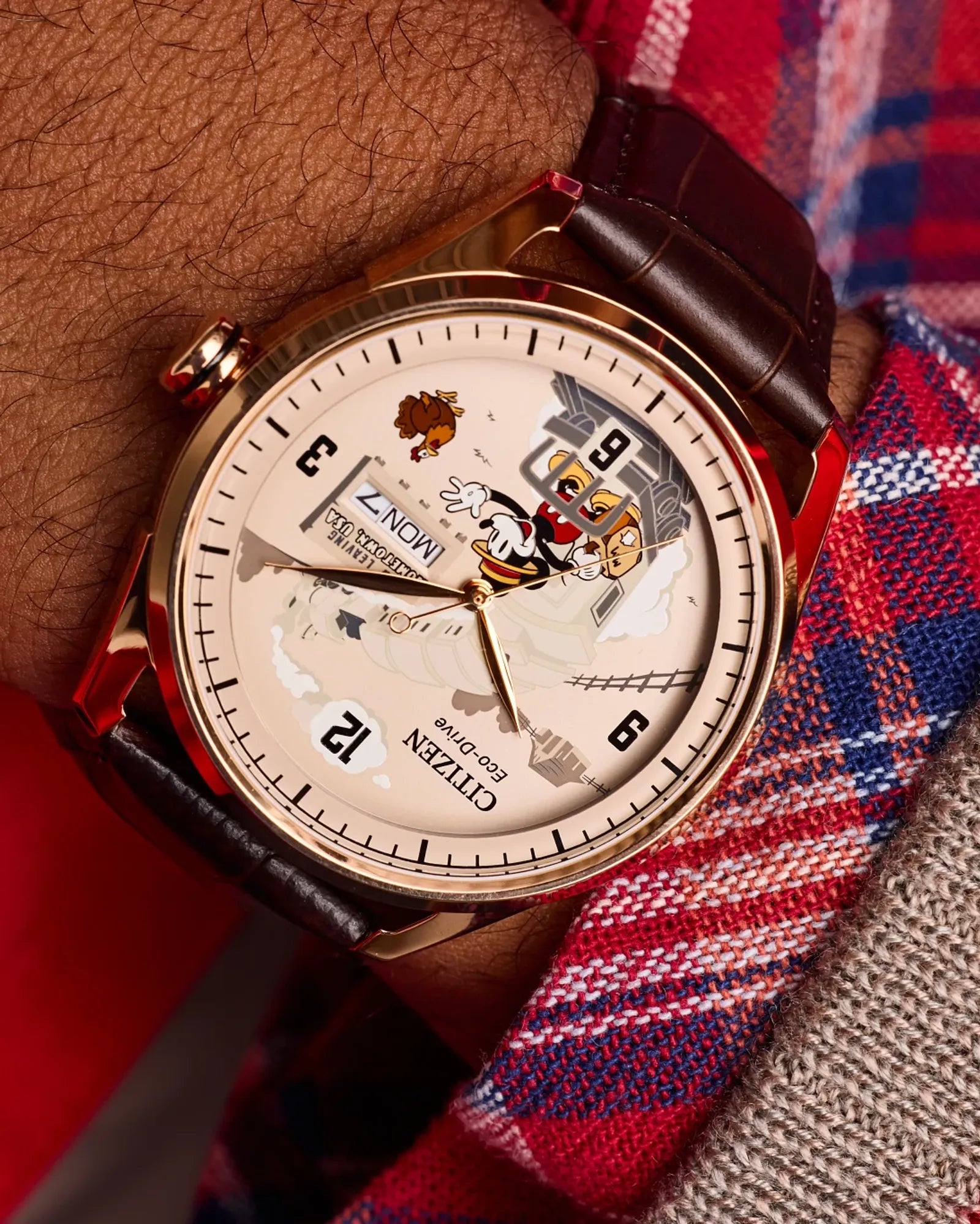 Hometown Mickey Mouse Model #:AW0088-04W