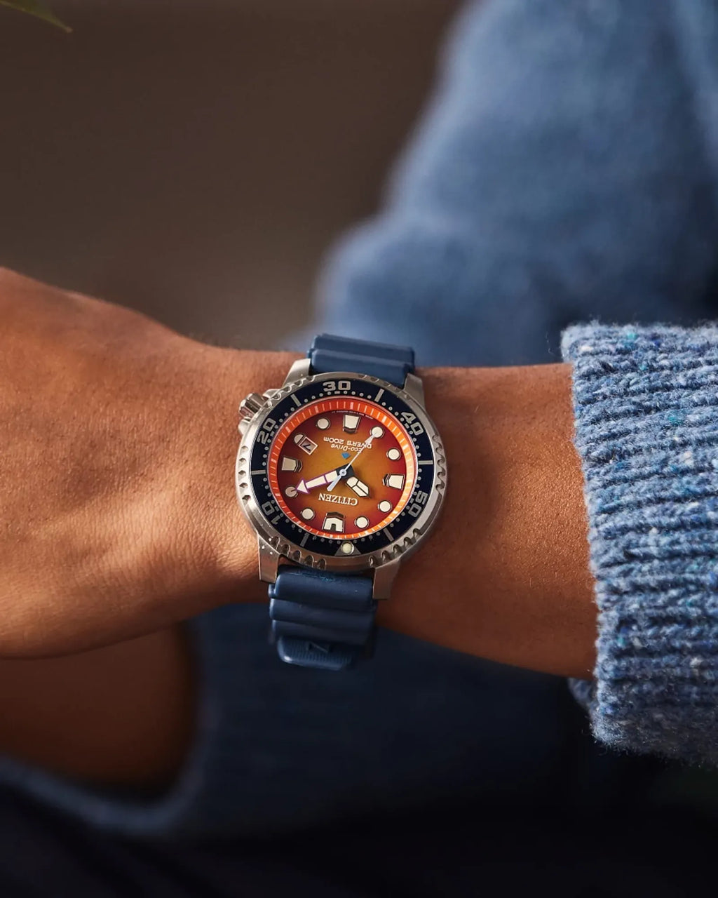 Promaster Dive