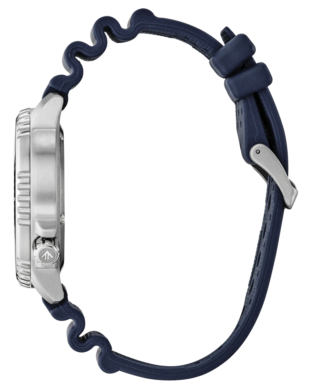 Promaster Dive