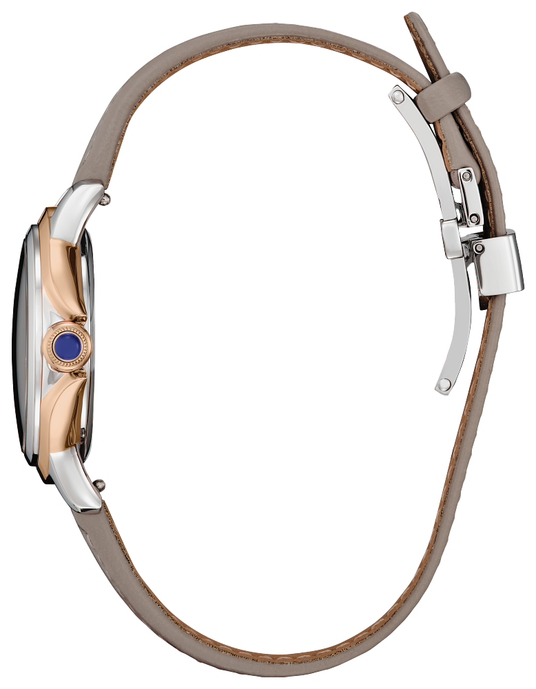 Citizen L Ceci Model # :EM1166-01Z