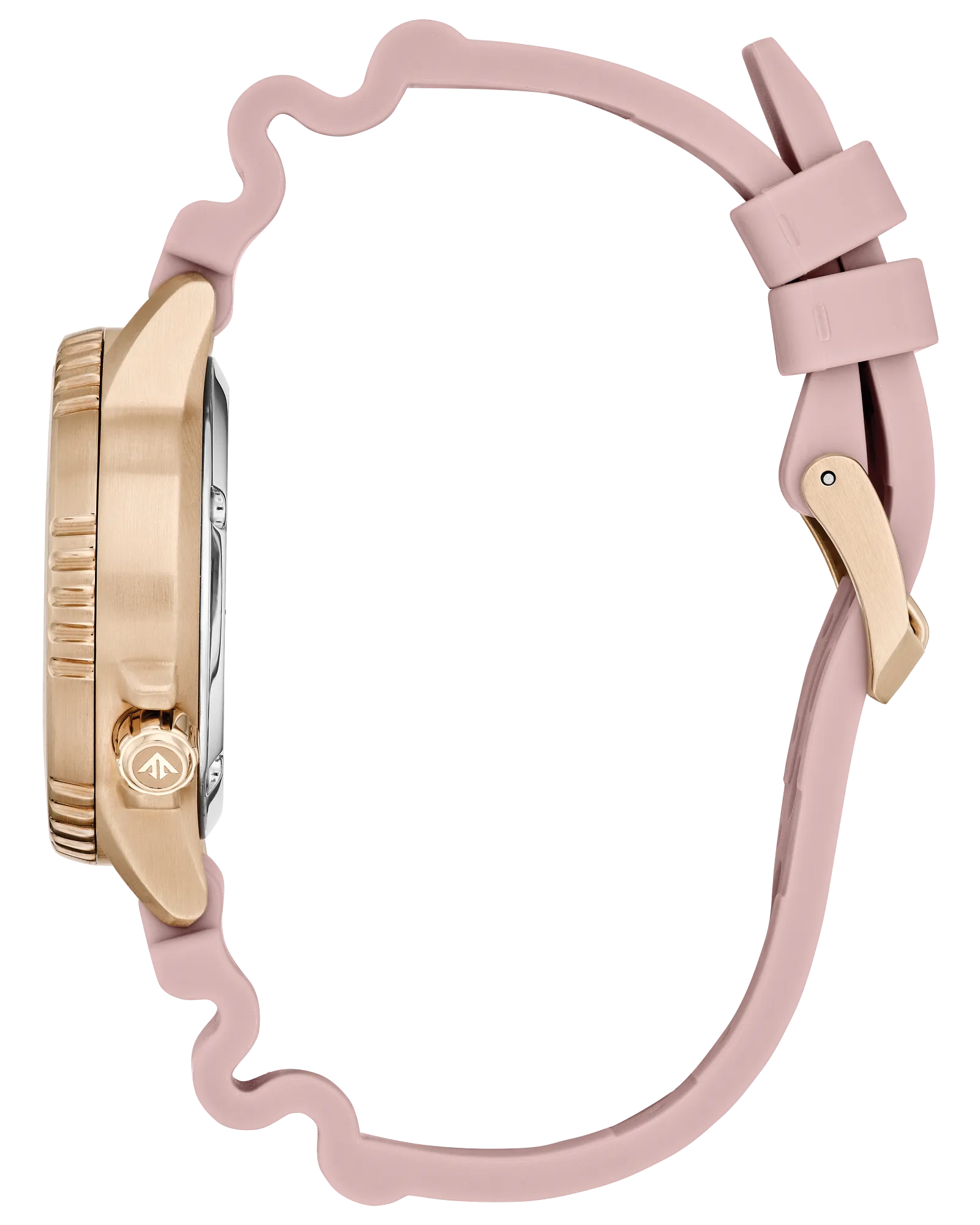 Promaster Dive Model #:EO2023-00A