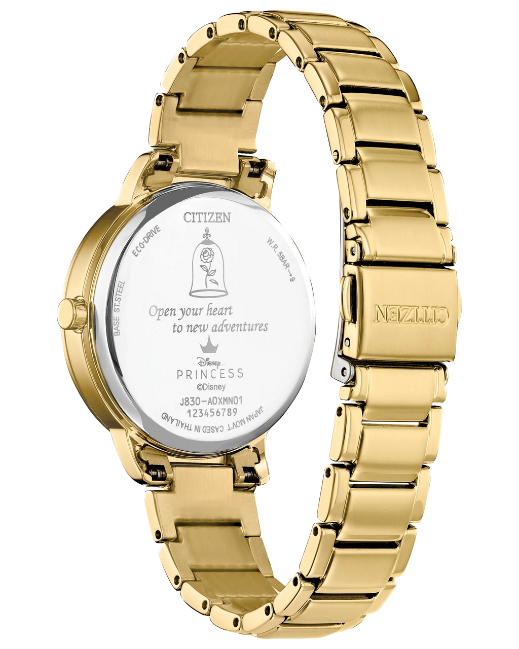 Belle and Beast Disney Princess Boxed Set