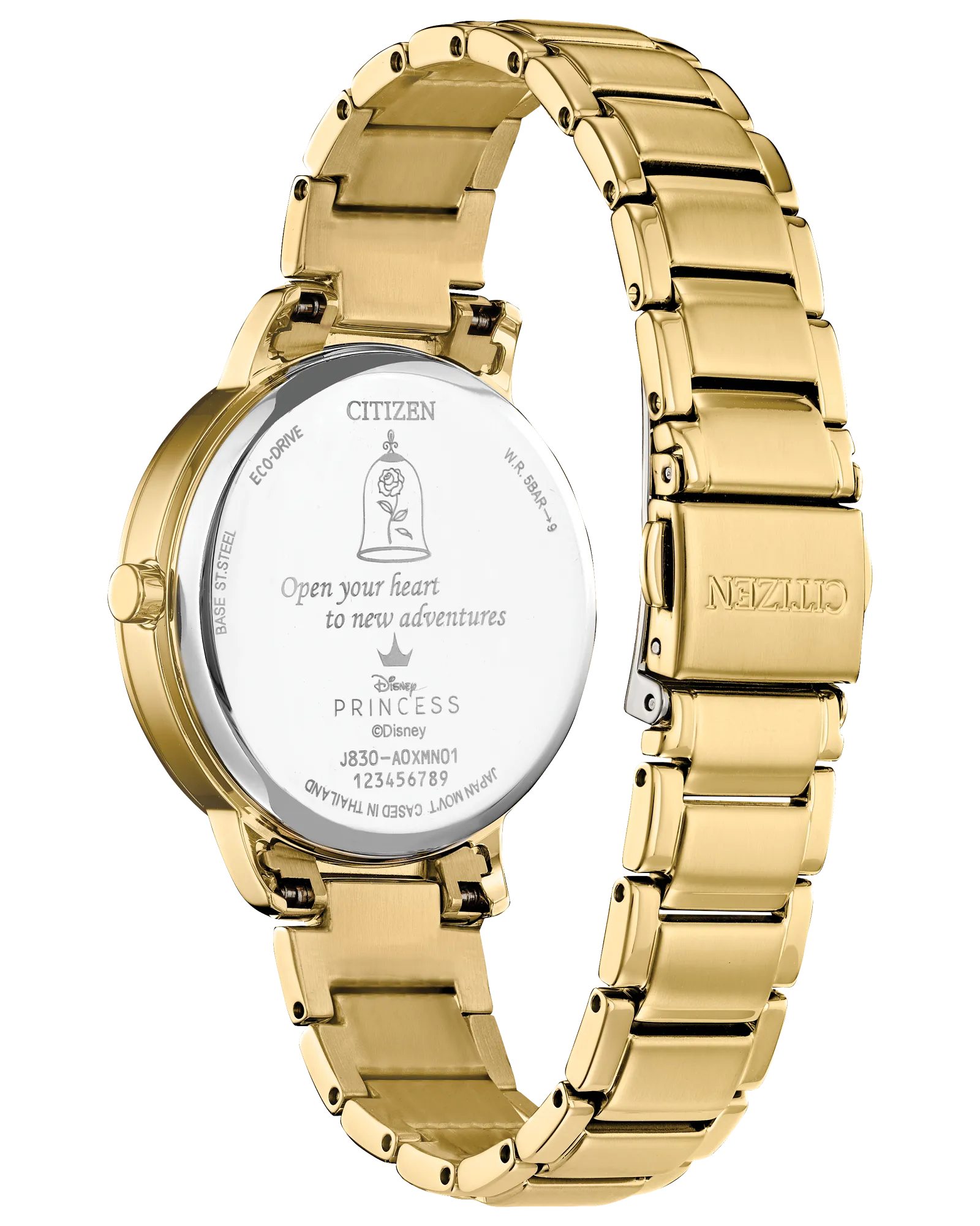 Belle and Beast Disney Princess Boxed Set