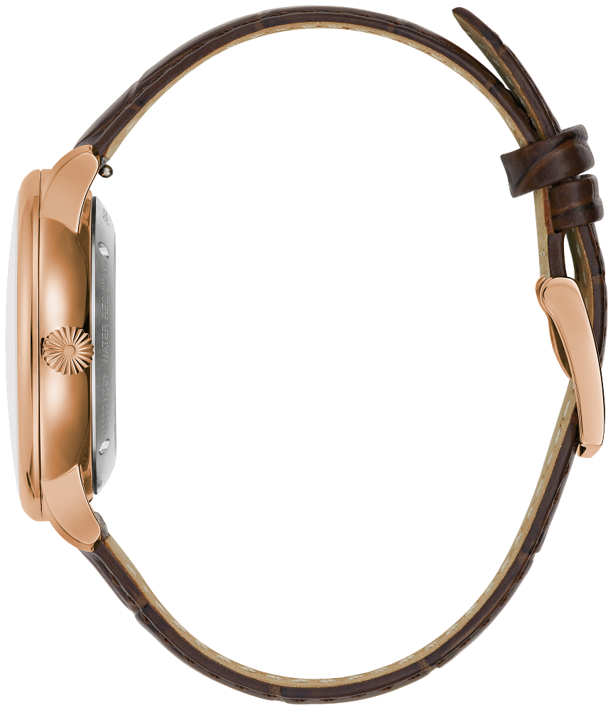 Hudson Model # :97B225