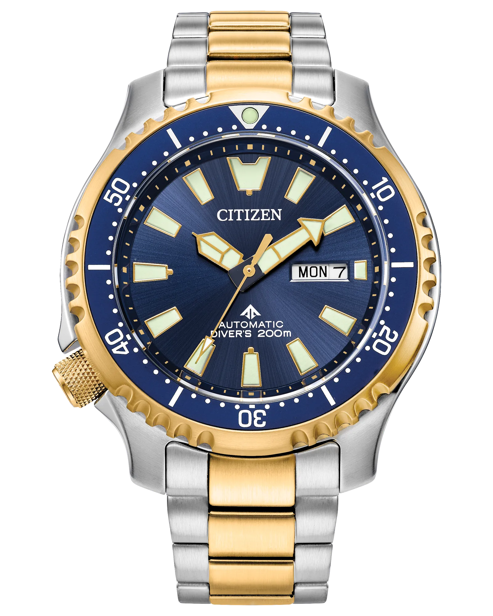 Promaster Dive Automatic