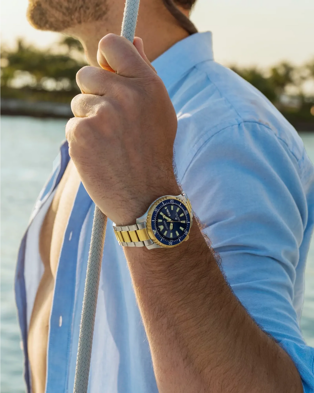 Promaster Dive Automatic