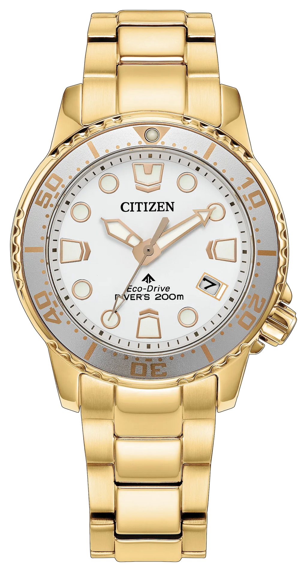 Citizen Promaster Dive EO2029-54A