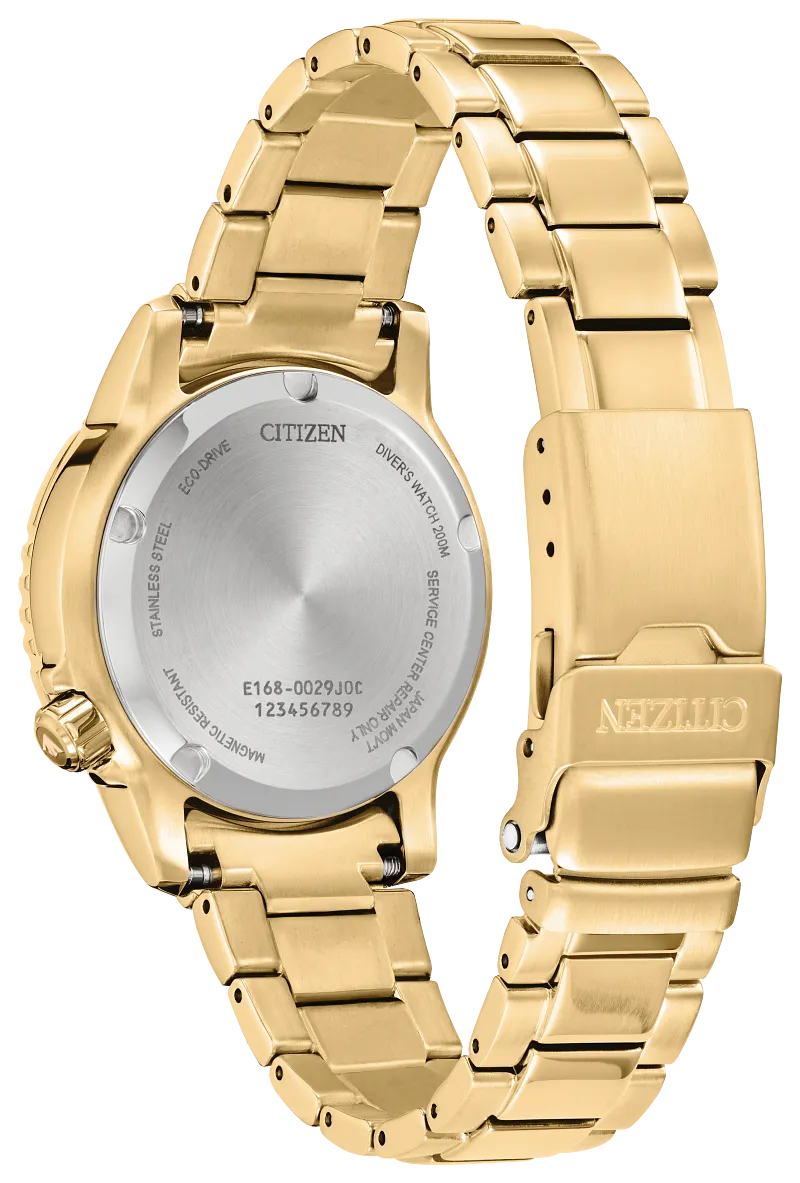 Citizen Promaster Dive EO2029-54A vista 2